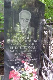 Шнайдерман Сарра Моисеевна, Москва, Востряковское кладбище